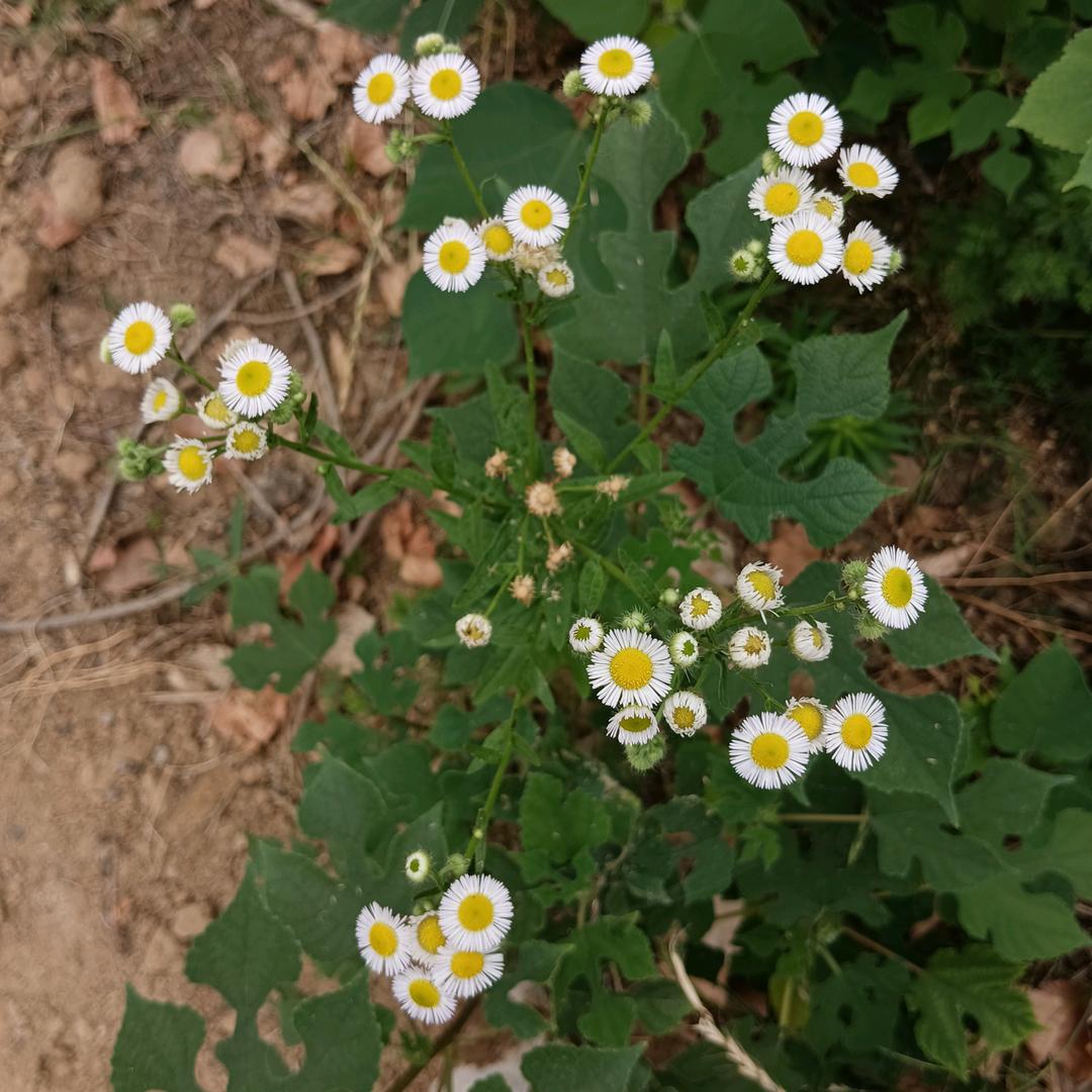 2025年正月十六从零开始