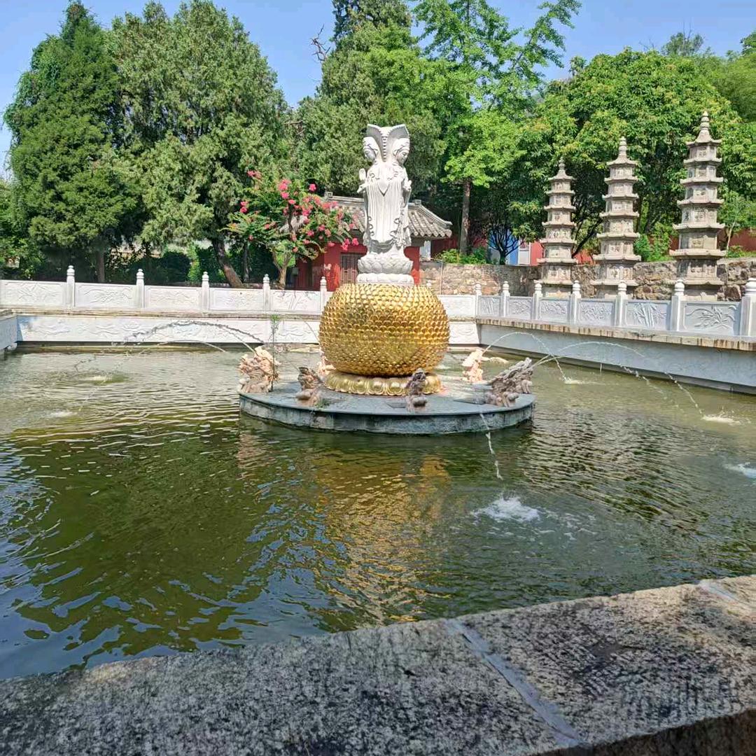 余生再起🌻🌻🌻