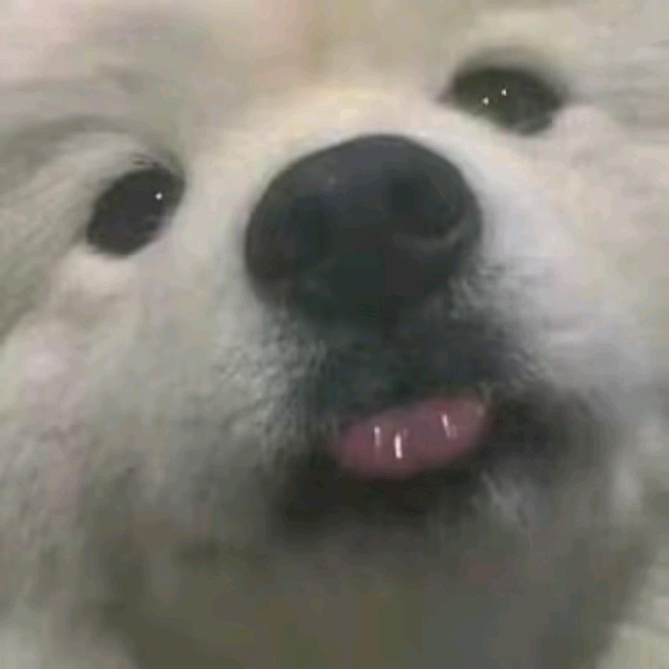 小李