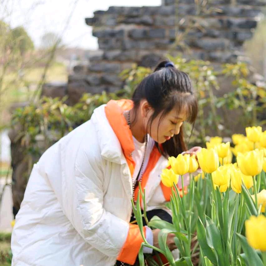 鲁台你小妹