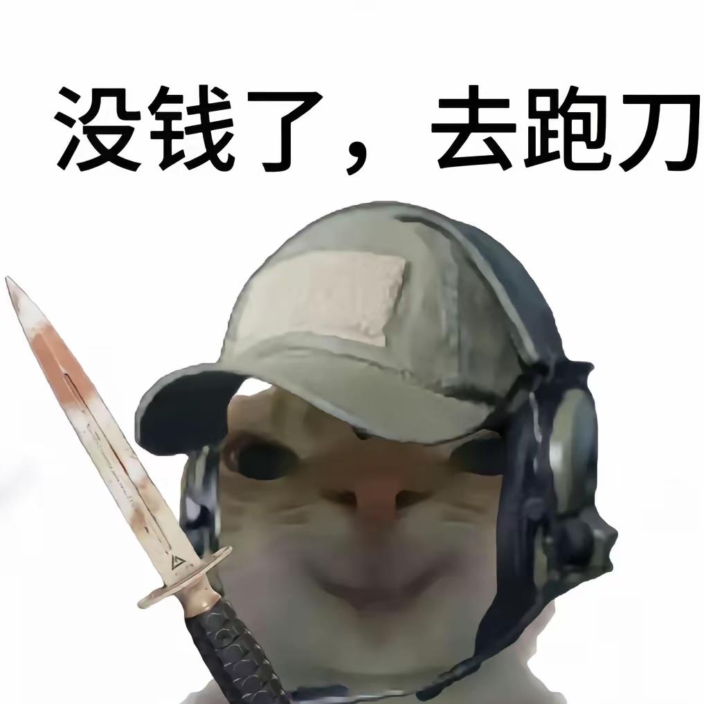 爱工作的鼠鼠