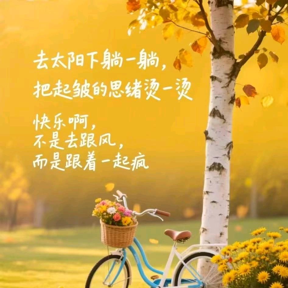 启东人（小号）