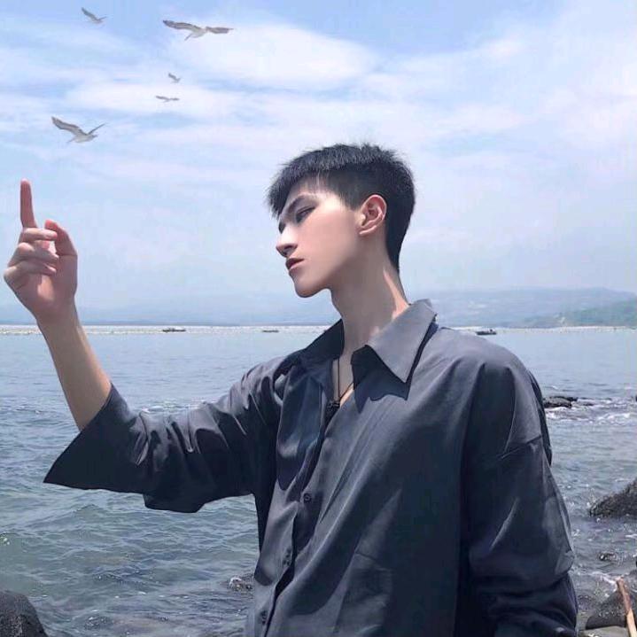 阿勒泰之子·巴勒