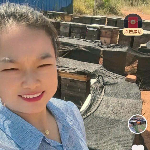 世代祖传养蜂人（代理人）