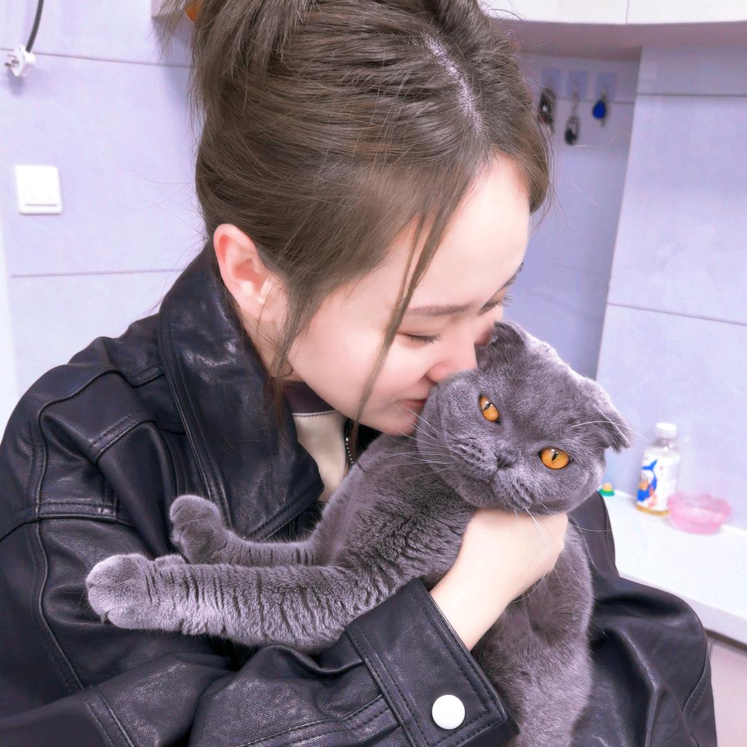 🩶爱米Aami🐈‍⬛🐾