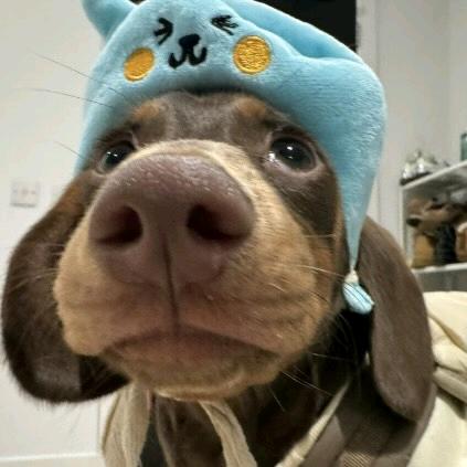 90岁老奶奶上房揭瓦