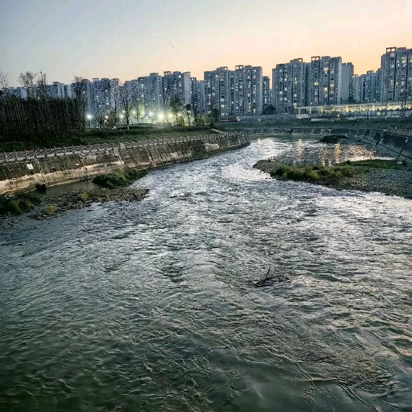 阳光总在风雨后