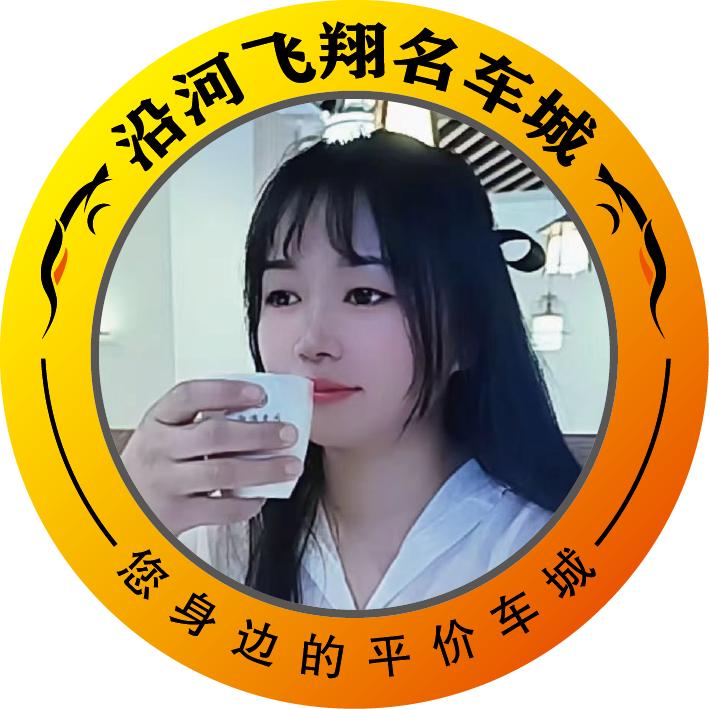 飞翔二手车  映儿