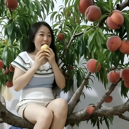 想要做你的小宝贝