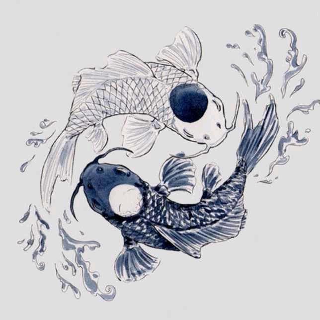云朵开了