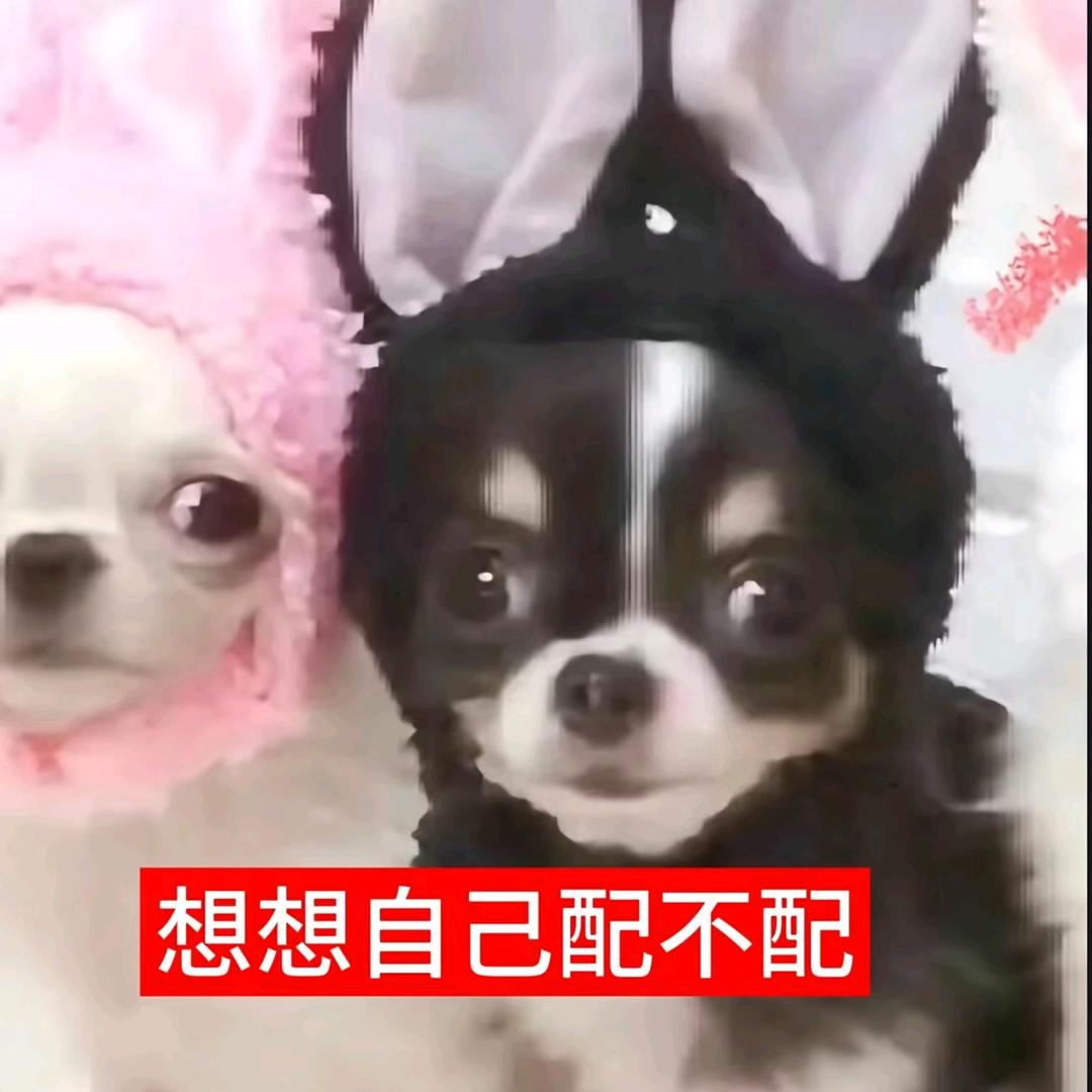 不小心骑八岁老太过马路闯了绿灯