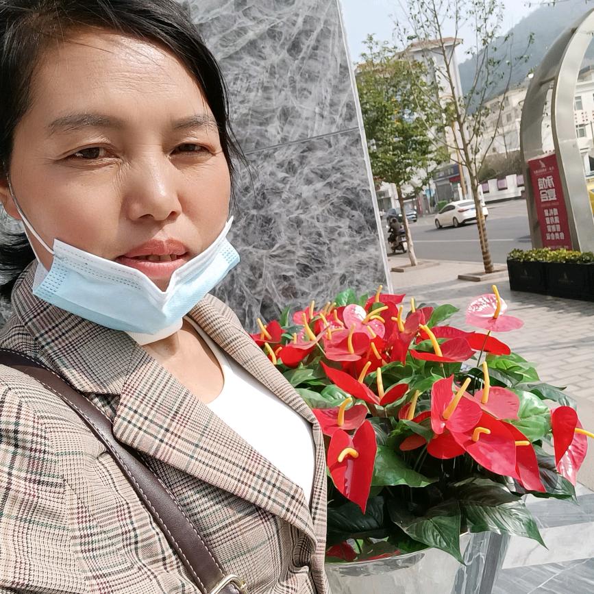 王四妹聊天主播
