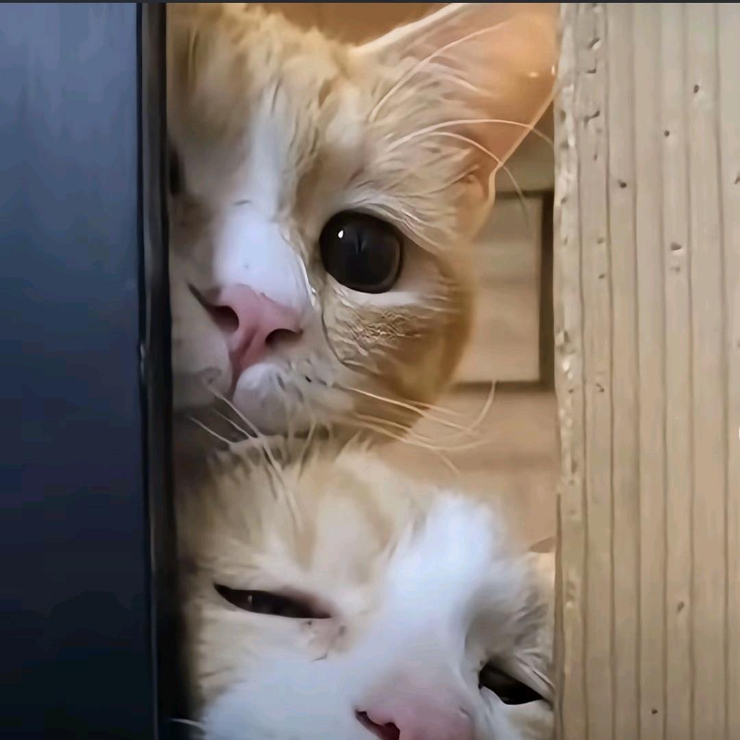 超级无敌麻辣360度托马斯大回旋