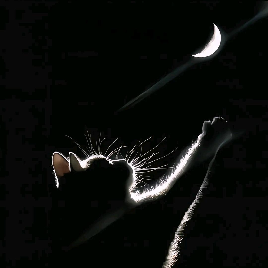 阿水（云顶之弈）