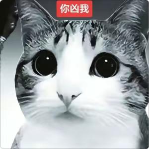 饺子🥟