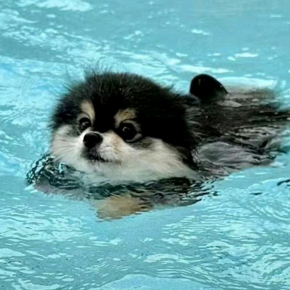 水程山驿