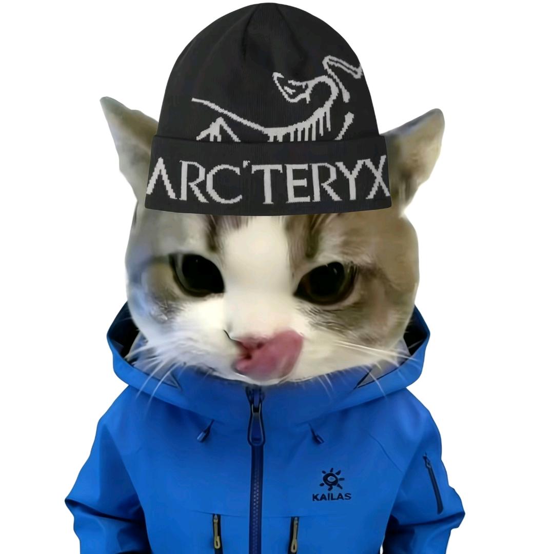 ARC'🐮