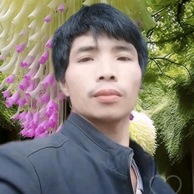 王朝国