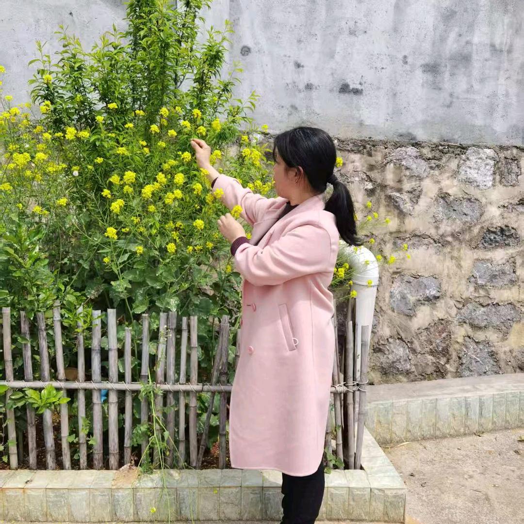 芙蓉小姐姐