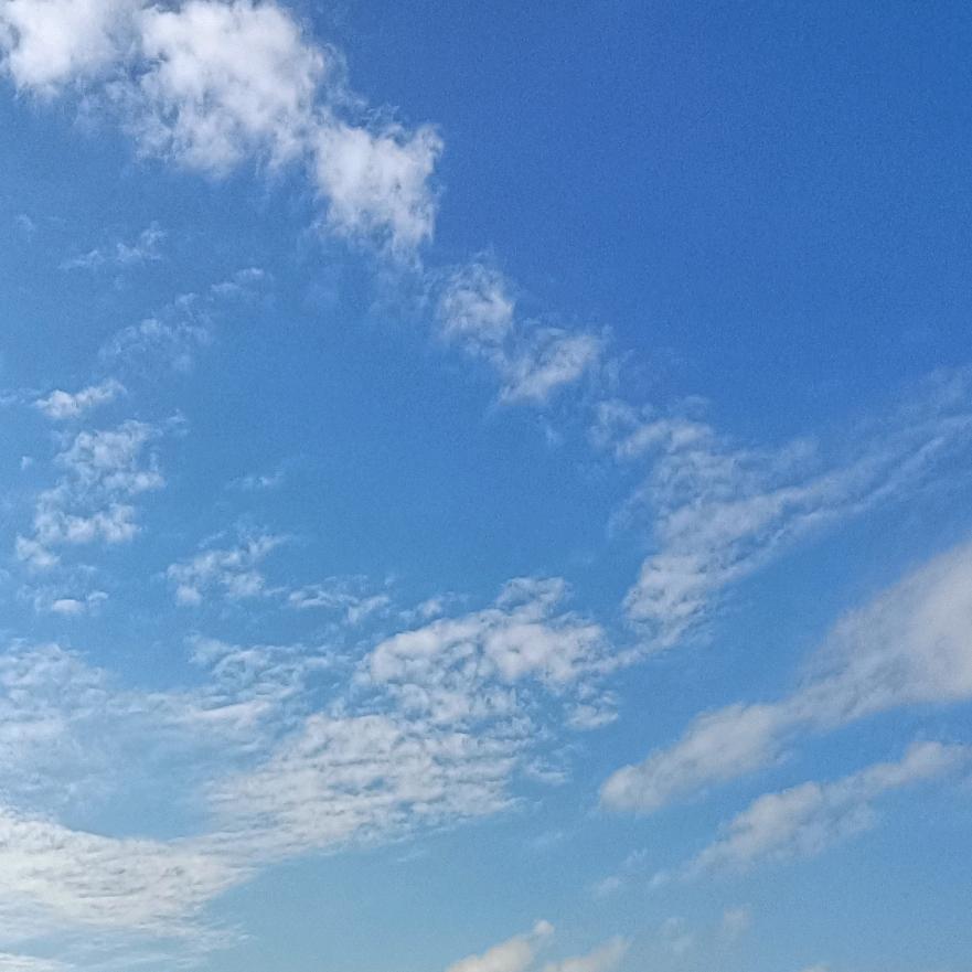 倩碧