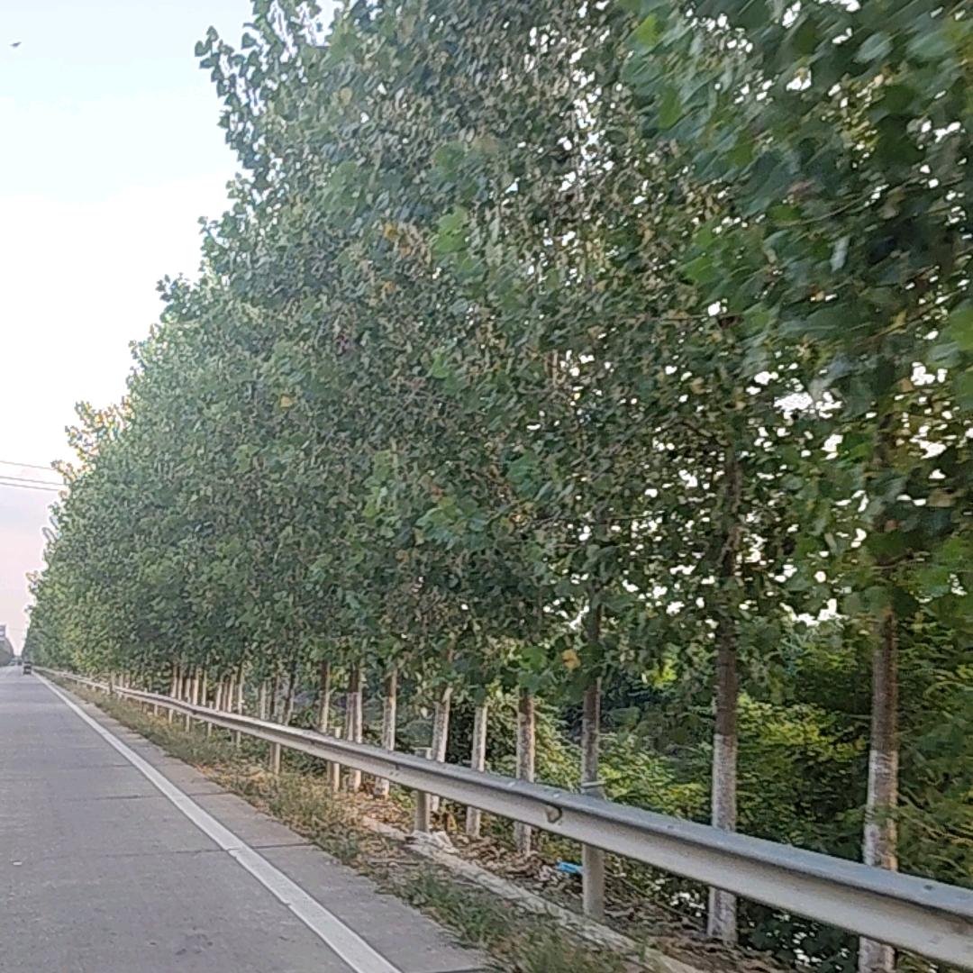 追求生活
