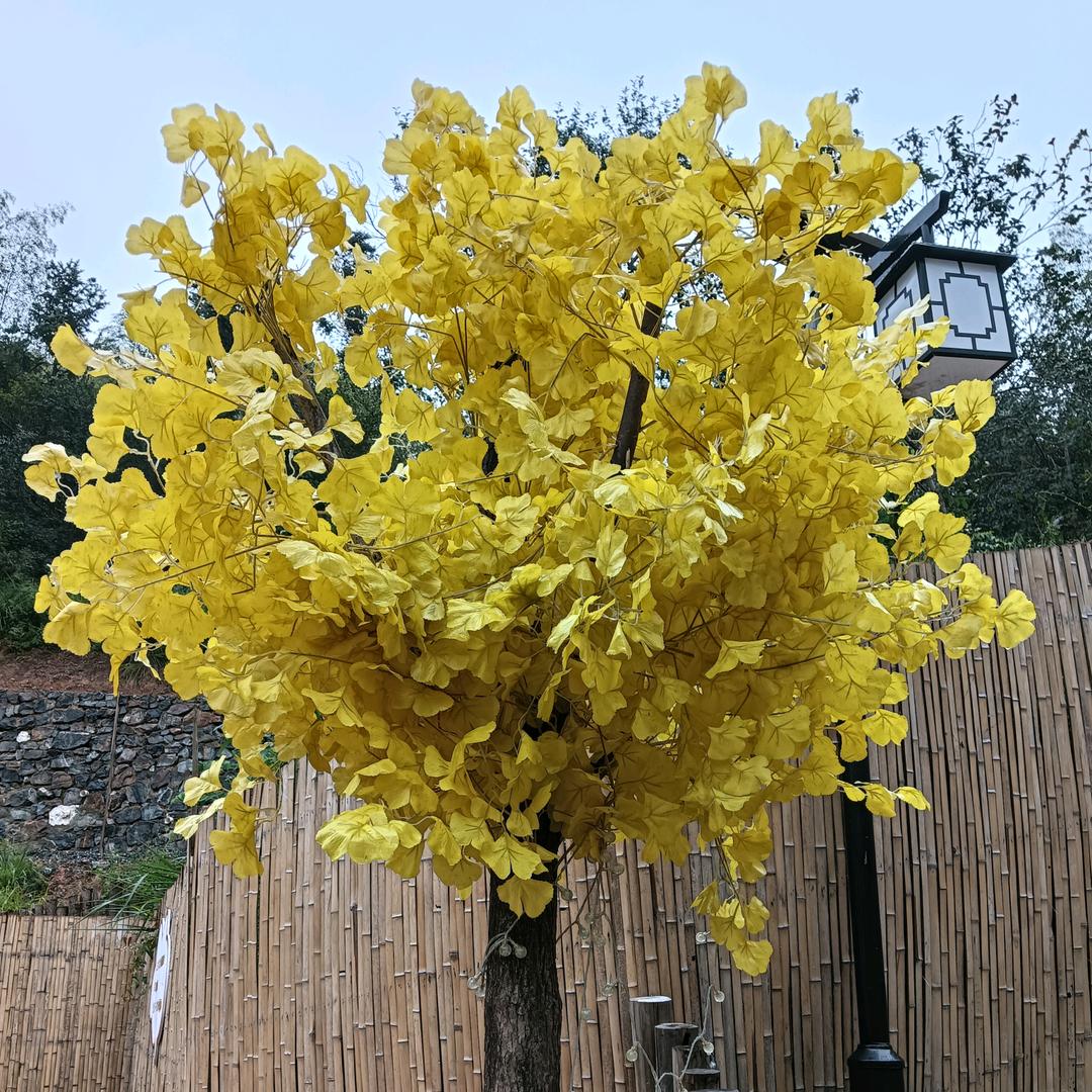 晓菲好物178❤️