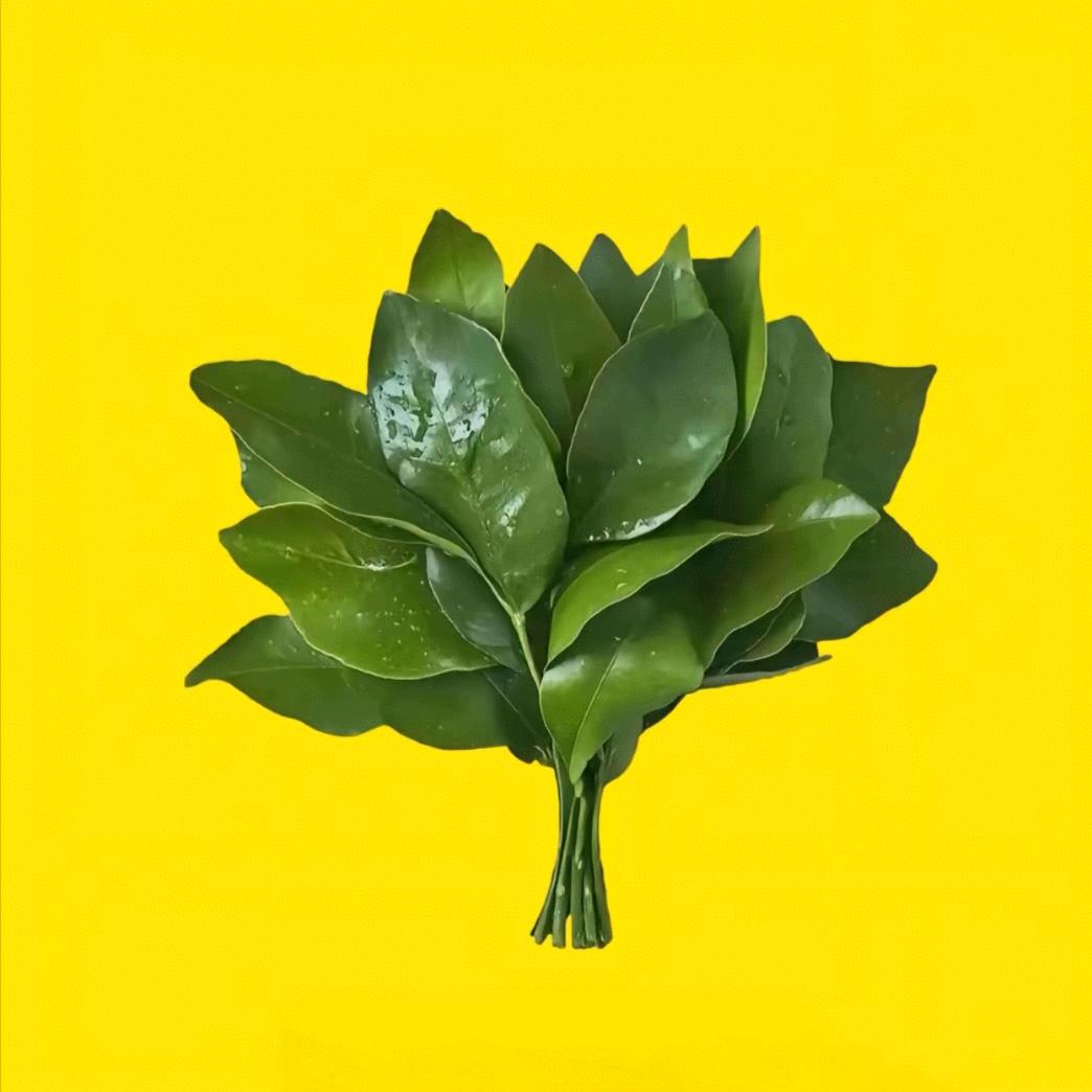 ঞৣঁ𓁇㿝氼𓁋ঞৣঁ