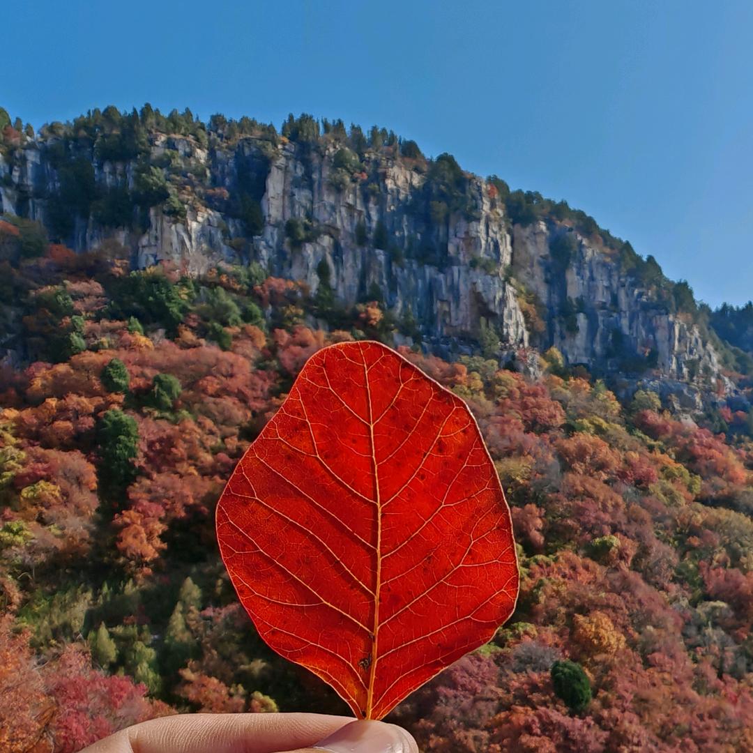 榮