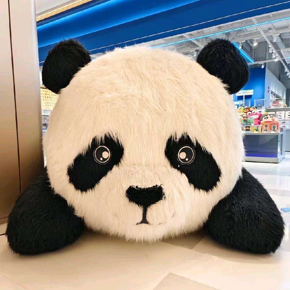 熊记章鱼烧 (🐻峰)