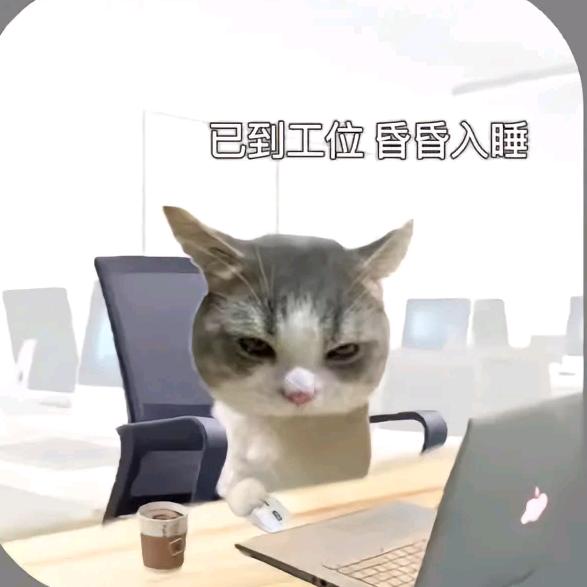 雨落听风起