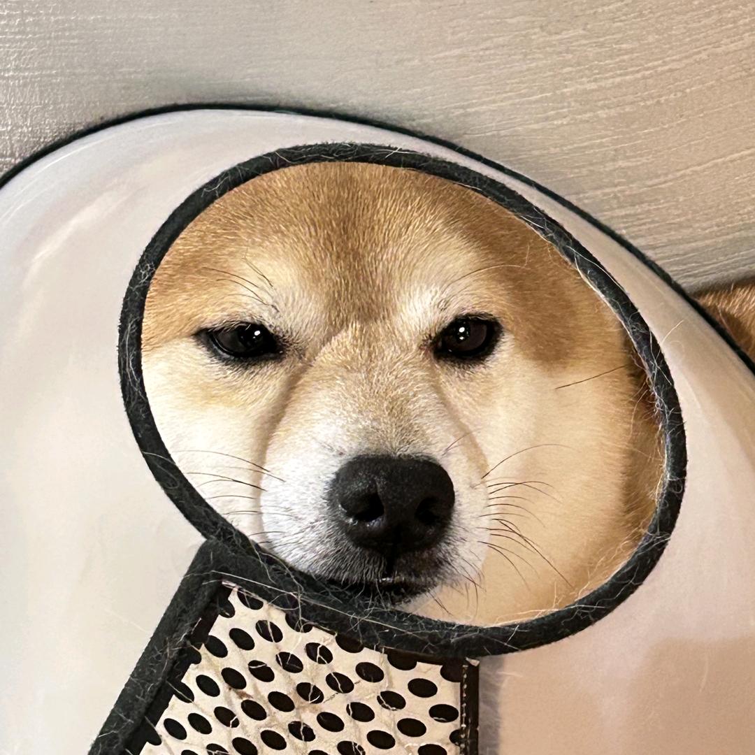 ⁷