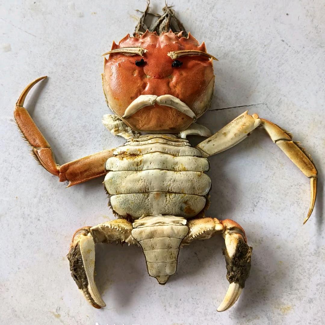 相信明天%大飞