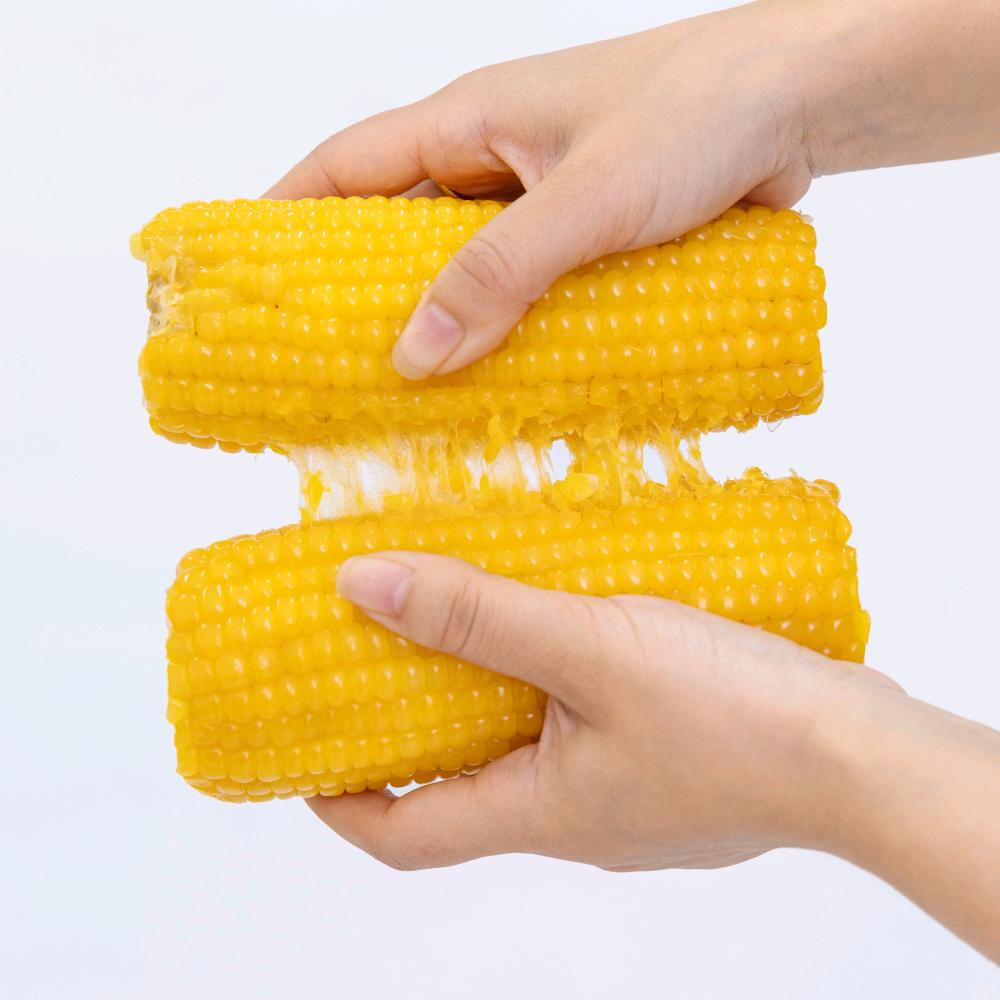 甜糯玉米种植户