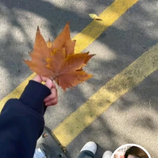 🦋ℒᎭℯ⃝  秋天༂²⁰