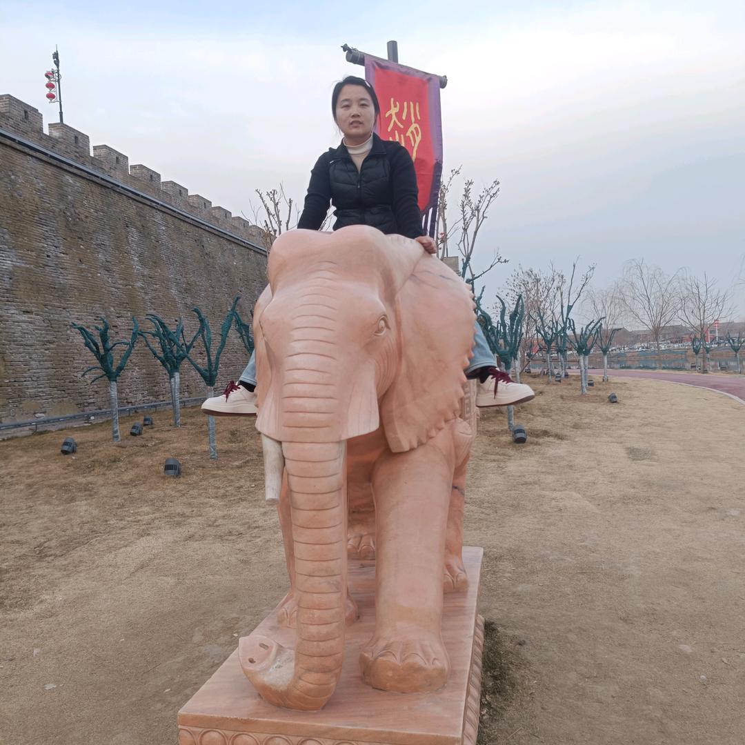 疯狂的兔子