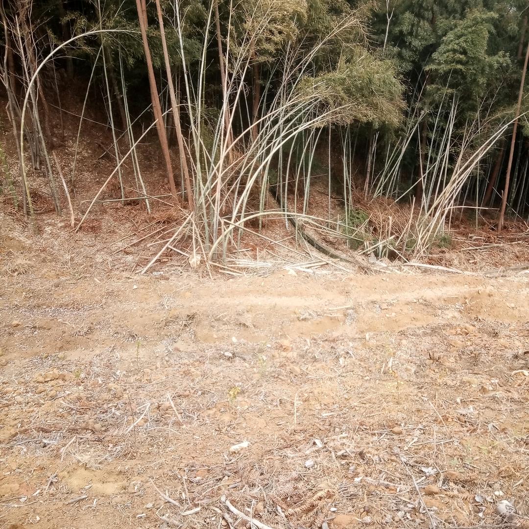 重庆悦林勇鑫自来水厂