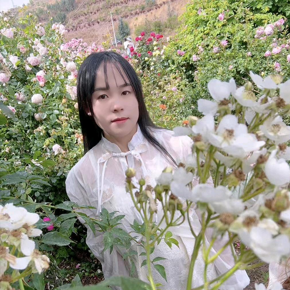 ℘释怀