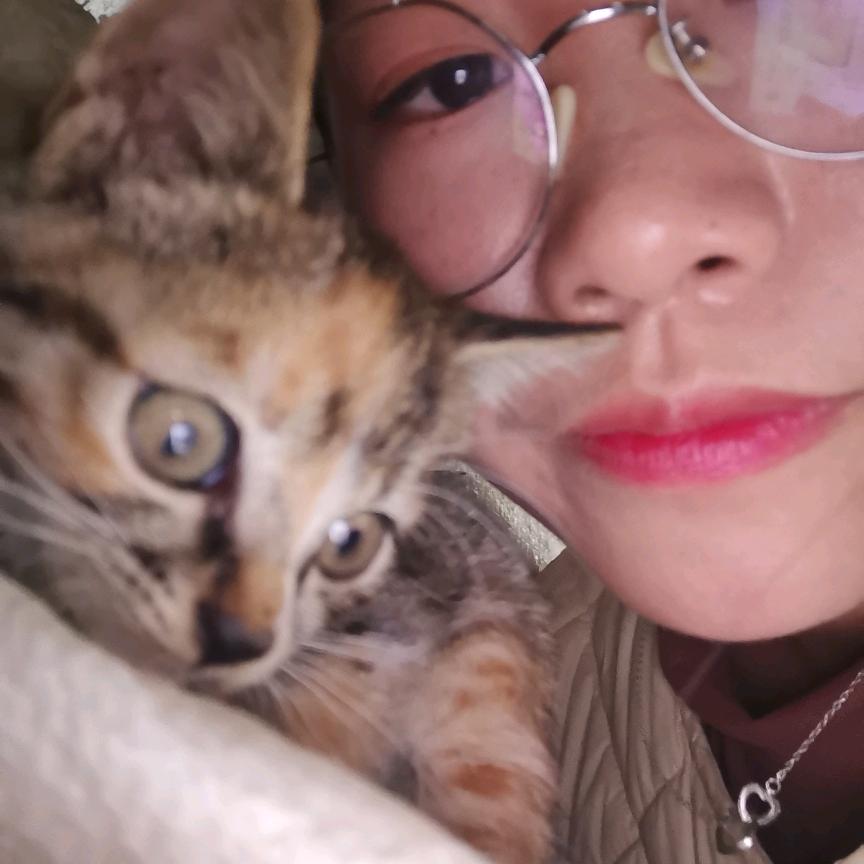 陈平安的成长日记