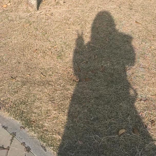 荷兰豆，，，，，，😄