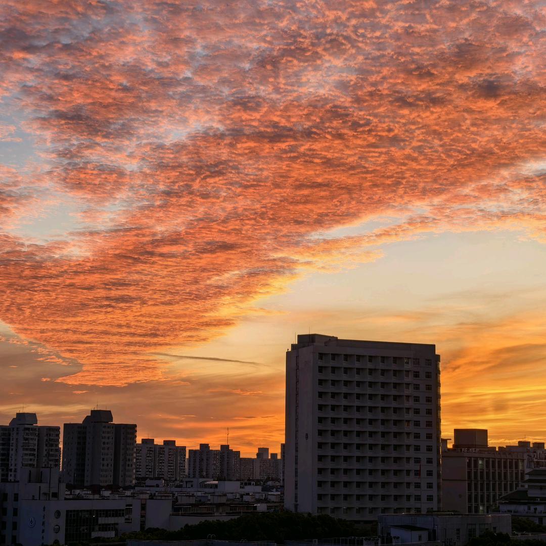 💫ᦦ🐮₁₉₉₇秦᭄໌ᮨ້࿐