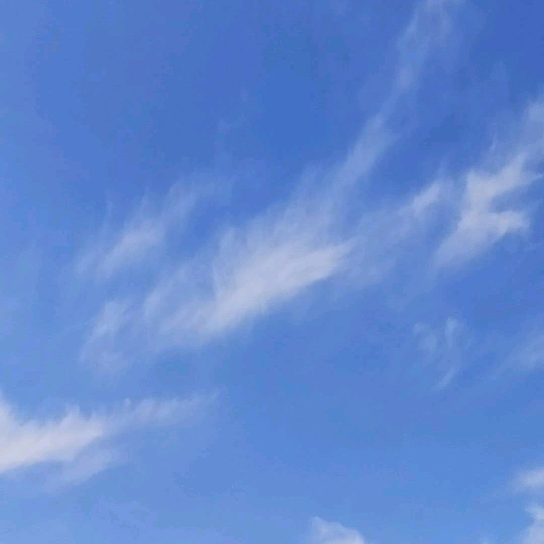 满意