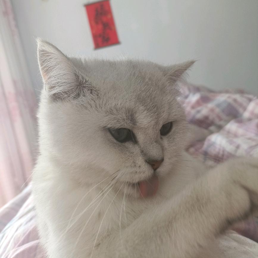 小慧