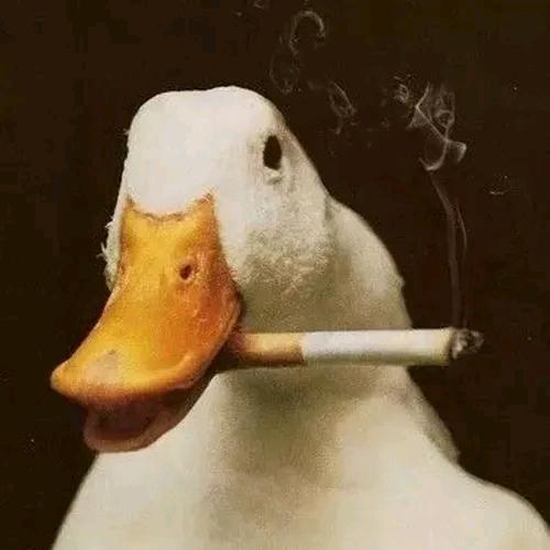 搞笑鸭🐤