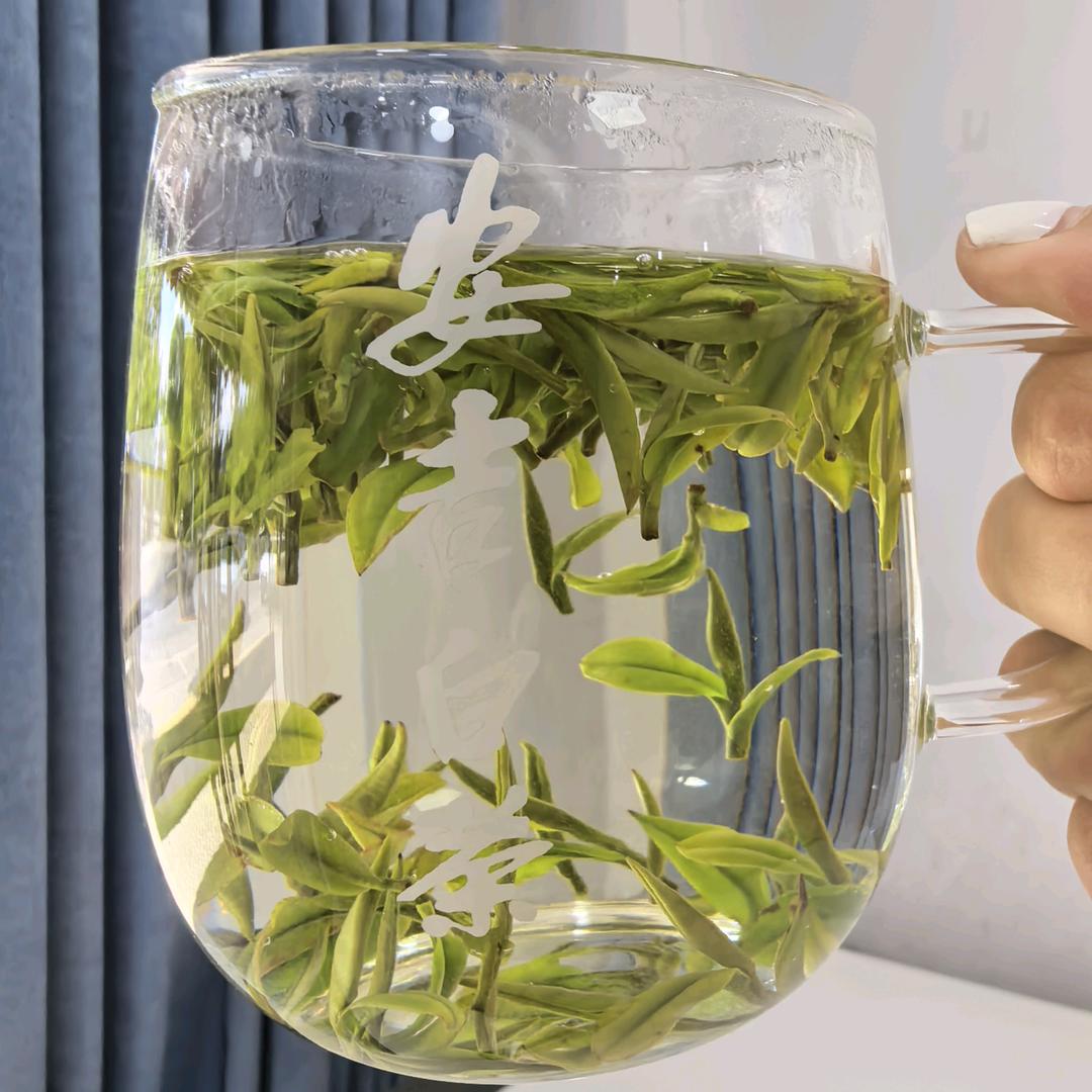 小陈白茶