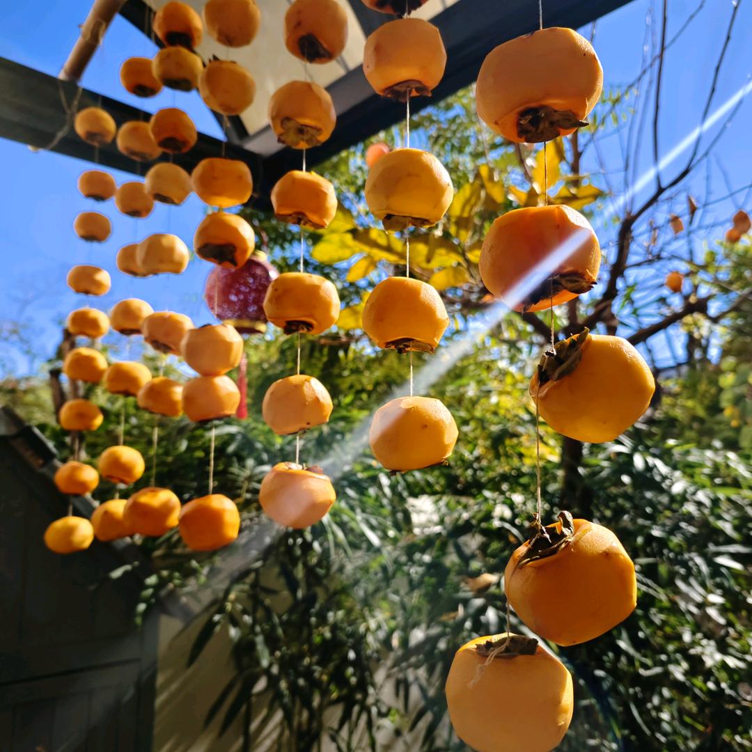 老方的丹柿小院