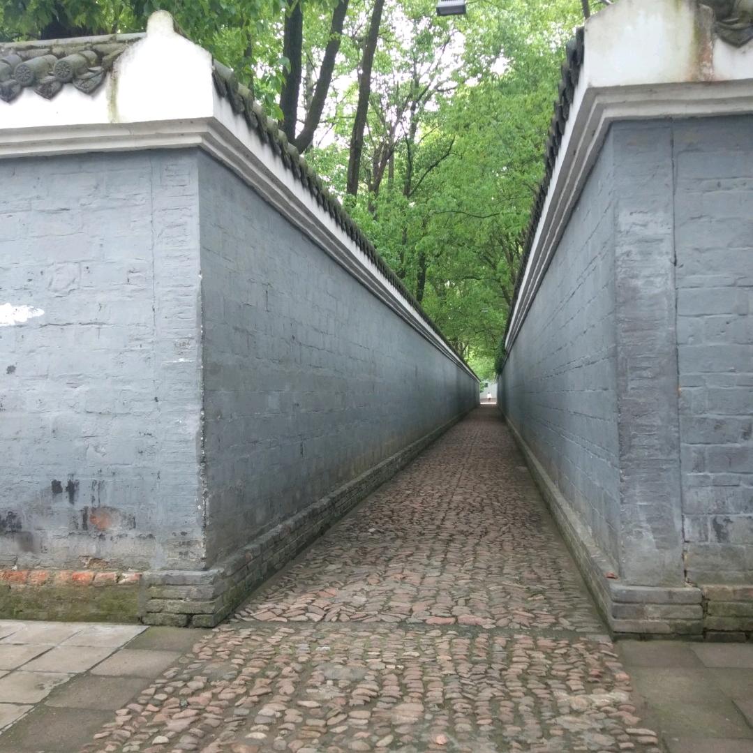 w.惦记