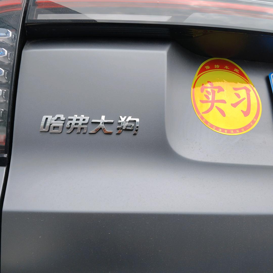 懂得都懂别问了