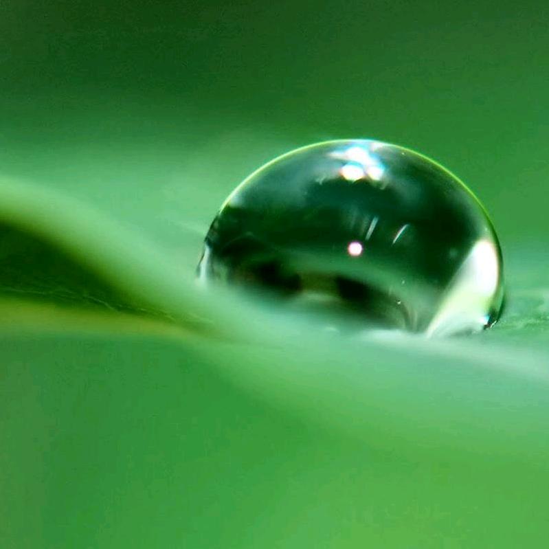 雨雪霏霏🌸🌸🌸