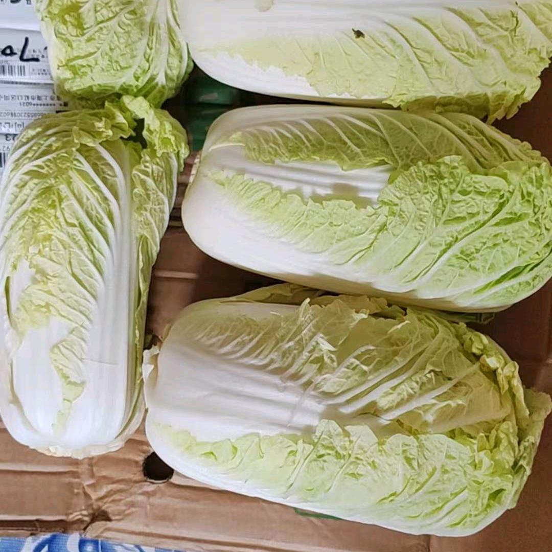 专注供应链