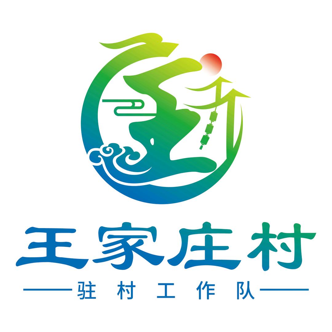 王家庄村驻村工作队